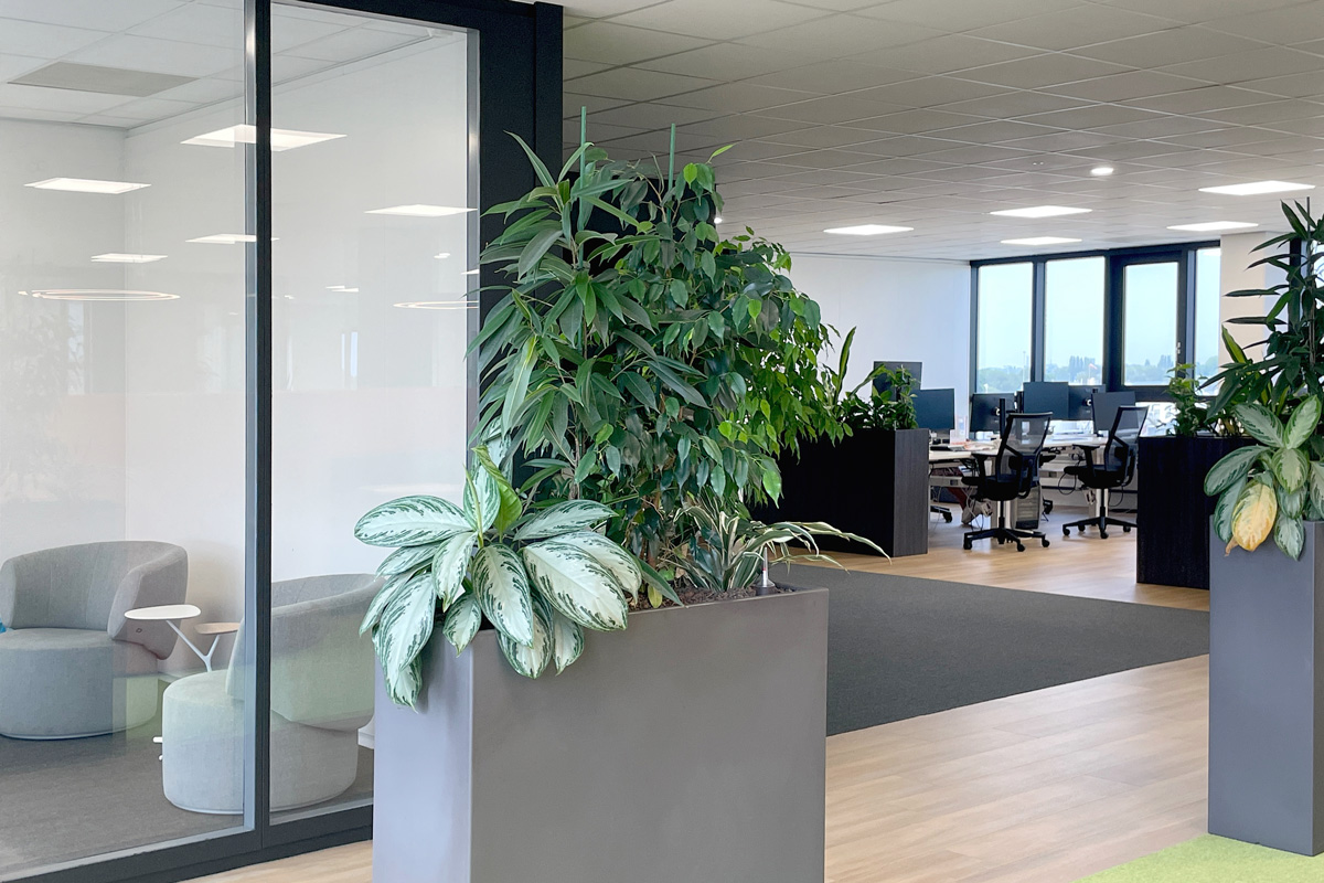 Plantenbakken als afscheiding tussen werkplekken.