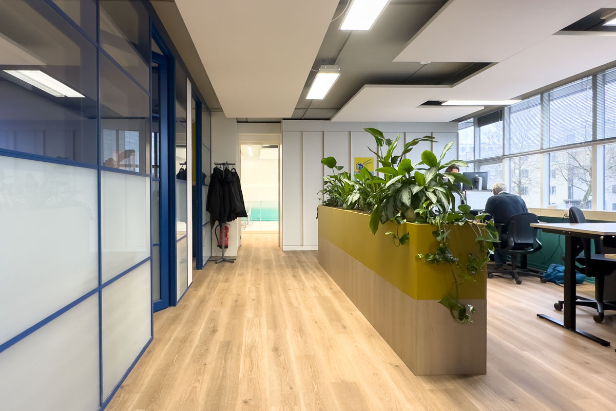 Inrichting van werkplekken in het kantoor van Staij Amsterdam, met glazen wanden, plantenbakken en warme houtprintvloer.