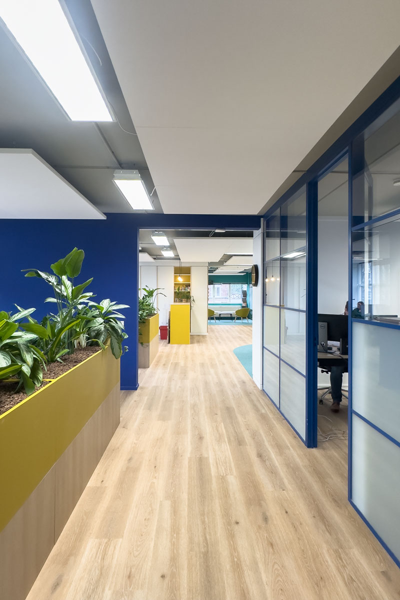 Inspirerende kantoorinrichting bij Staij in Amsterdam met groene plantenbakken, blauwe accenten en een natuurlijke houten vloer.