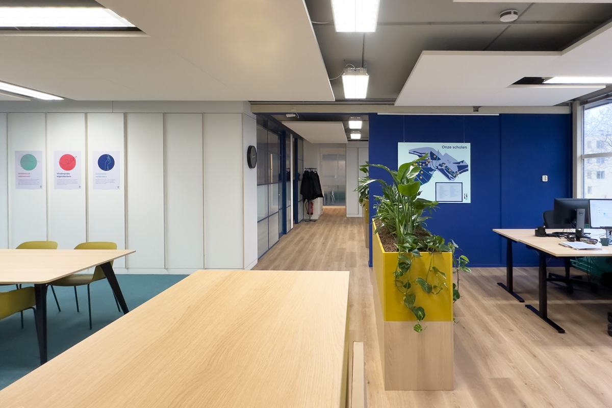 Kantoorinrichting bij Staij in Amsterdam met blauwe accentmuur, gele plantenbak en moderne werkplekken.