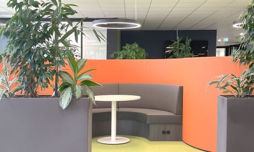 Kantoorinrichting met maatwerk zitnis, planten en overlegplek in moderne werkomgeving