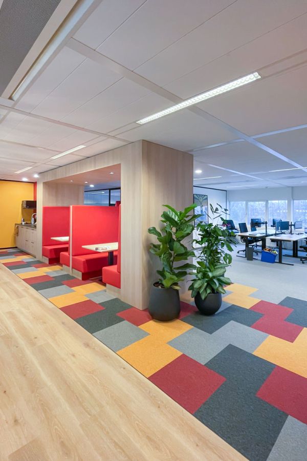 Overzicht van kantoorruimte met op maat gemaakte treinbanken, kleurrijke vloerbedekking, en grote planten in zwarte potten.