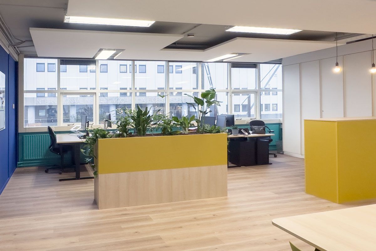 Kantoorinrichting bij Staij in Amsterdam met blauwe accentmuur, gele plantenbak en moderne werkplekken.