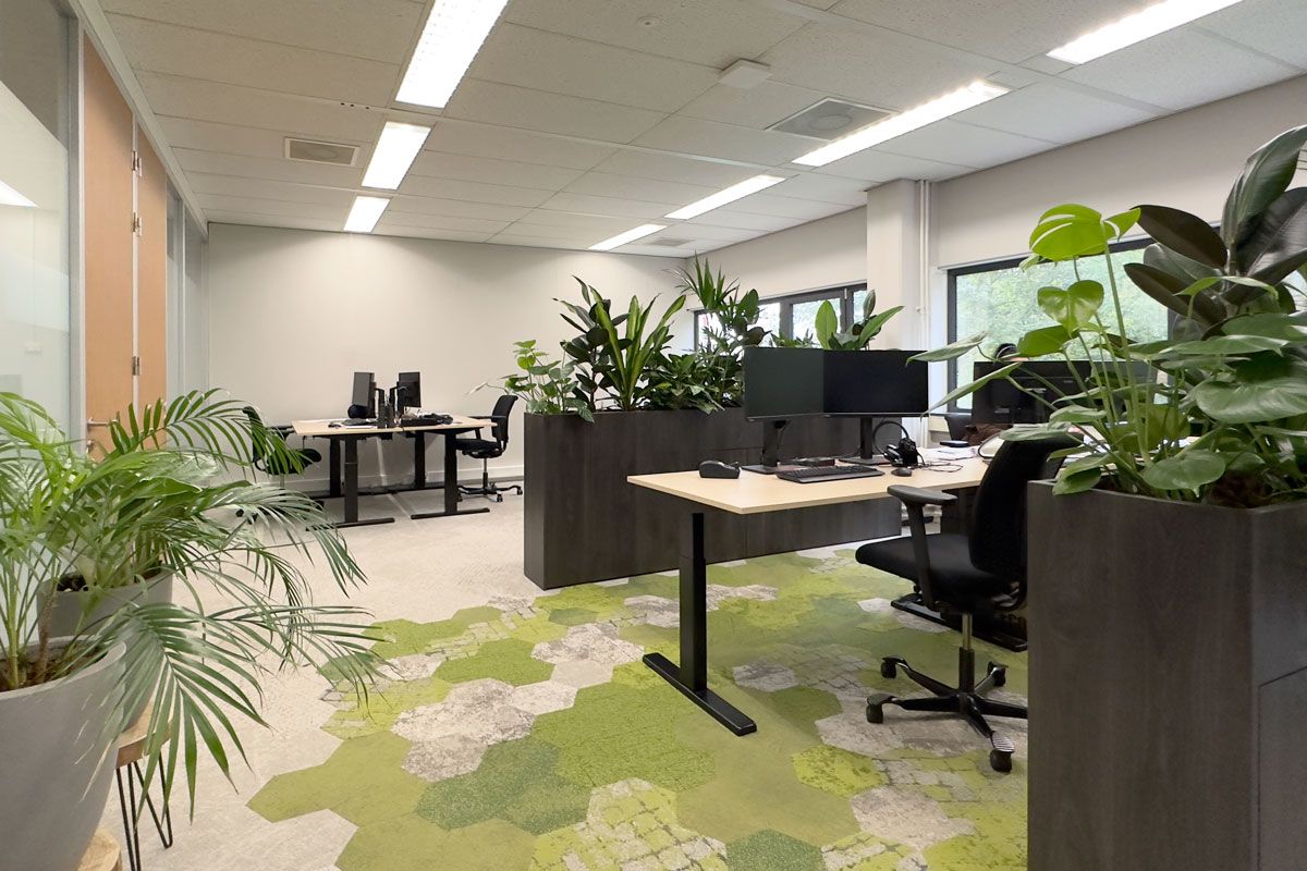 Ontwerp kantoorruimte voor HOD in Utrecht. Kantoortuin met veel planten en circulair tapijt.